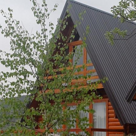 Villa Wood Borje Žabljak Exterior foto
